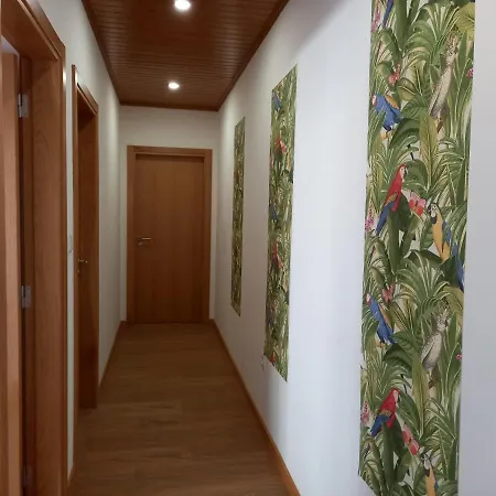 Ponte 516 House